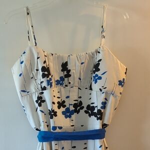 A.P.N.Y. Elegant Dress